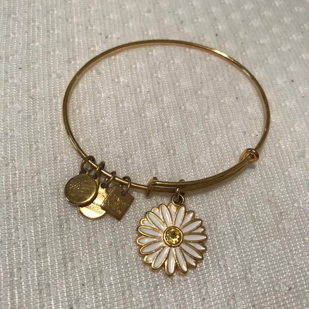 Alex n Ani Bracelet